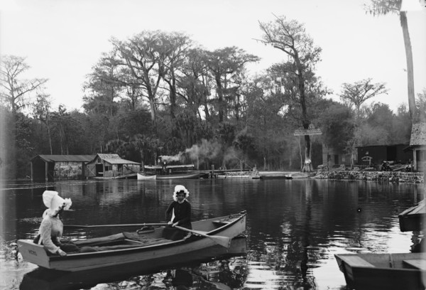 Silver Springs on the Oclawaha [sic], Florida, c1902. Creator: William H. Jackson.