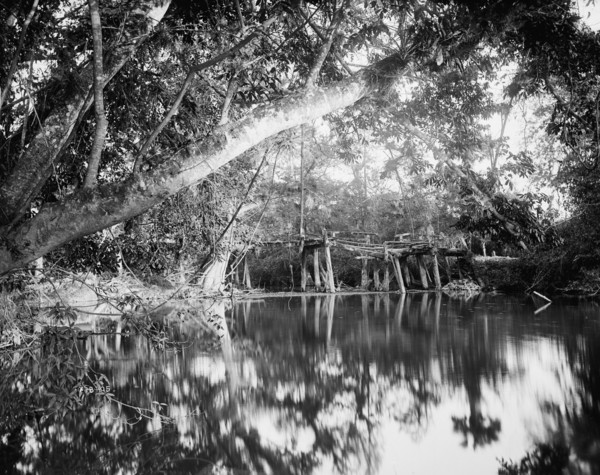 Puente Real near Rascon, between 1880 and 1897. Creator: William H. Jackson.
