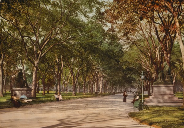Lower end of mall, Central Park, New York, c1901. Creator: Unknown.