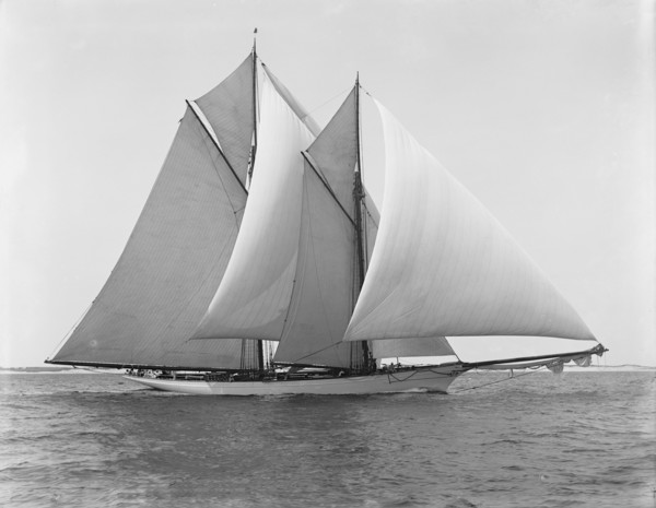 Merlin, 1892 Aug 8. Creator: Unknown.