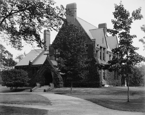Divinity [School] Library, Harvard College, between 1900 and 1906. Creator: Unknown.