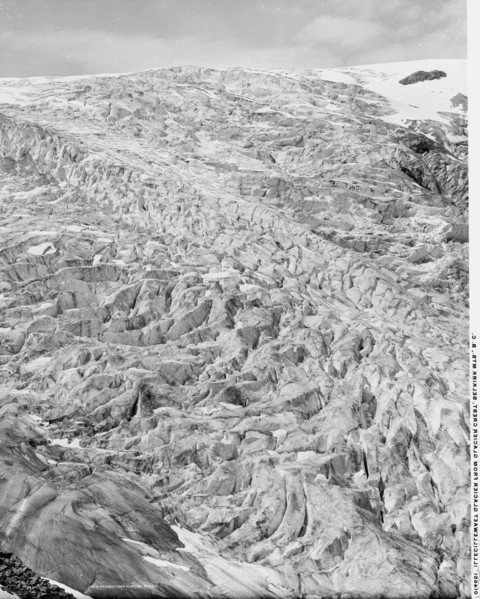 Illecillewaet Glacier from Glacier Crest, Selkirk Mts., B.C., between 1900 and 1906. Creator: Unknown.