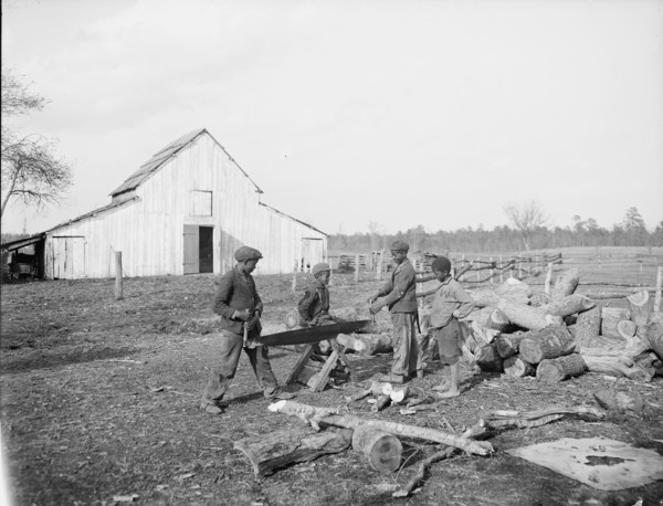 Nigger in the wood pile, c1905. Creator: Unknown.