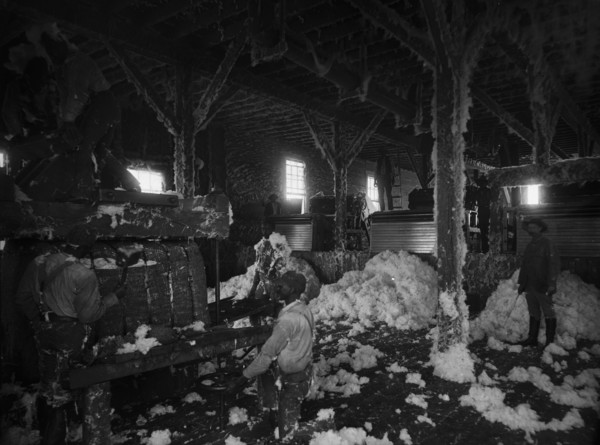 Cotton gin at Dahomey, between 1890 and 1906. Creator: Unknown.