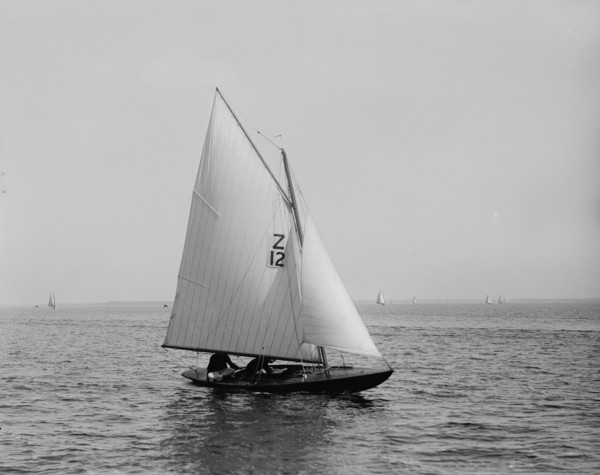 Trilby, 1896 June 30. Creator: Lycurgus S. Glover.