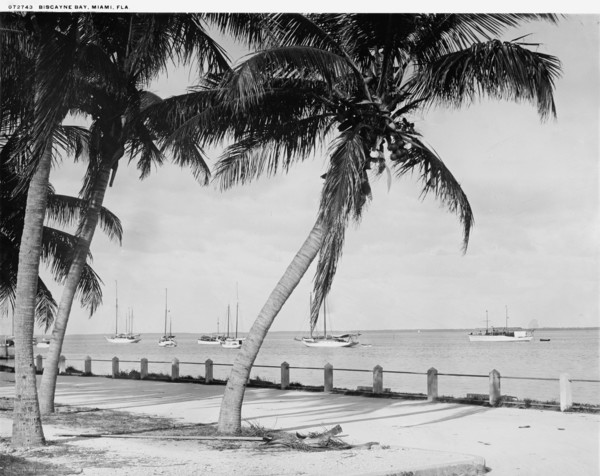 Biscayne Bay, Miami, Fla., c.between 1910 and 1920. Creator: William H. Jackson.