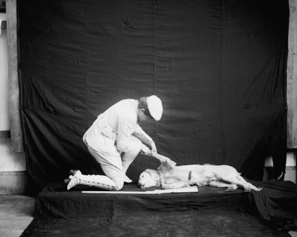Billy and his mistress in hunting poses, between 1895 and 1910. Creator: Unknown.