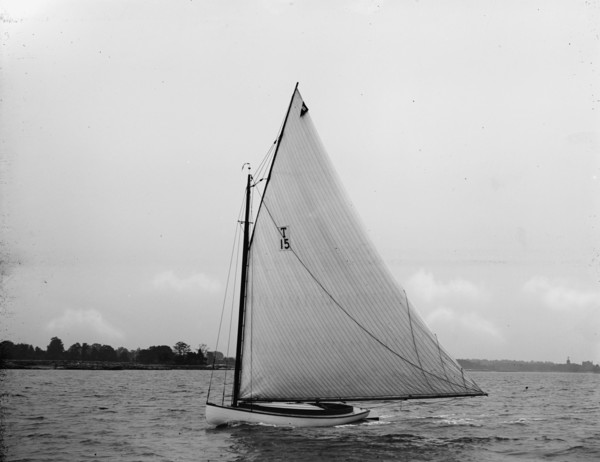Ethel, 1897 June 29. Creator: John S Johnston.