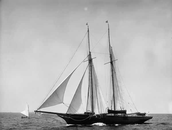 Lady Evelyn, 1899 July 29. Creator: John S Johnston.