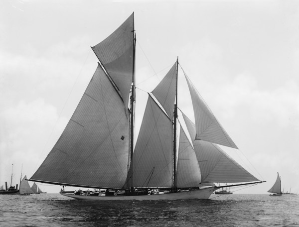 Marguerite, 1891. Creator: John S Johnston.