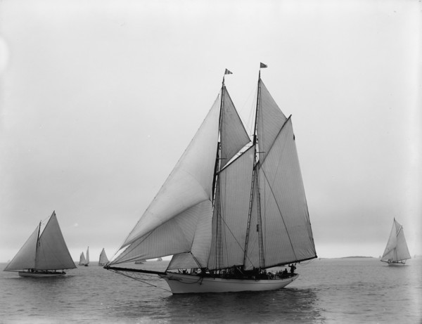 Viator, 1896 July 22. Creator: John S Johnston.