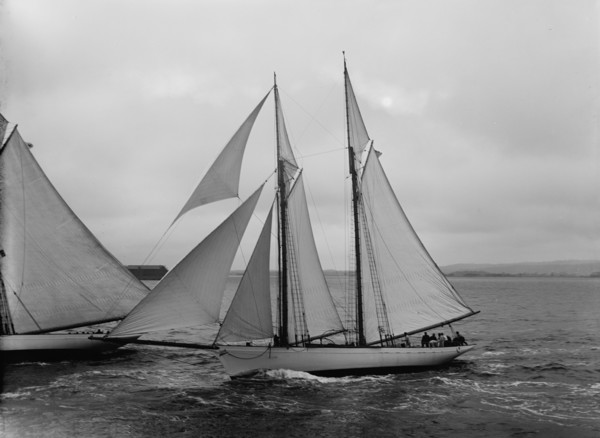 Viator, 1891. Creator: John S Johnston.