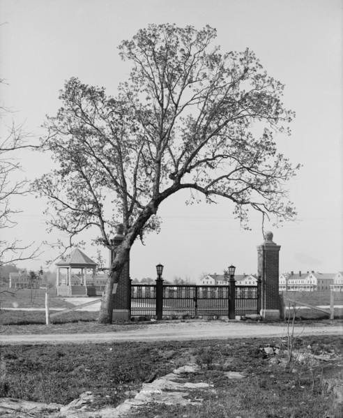 The Post gate, Fort Oglethorpe, Chicamauga [i.e. Chickamauga-Chattanooga National...., c1900-1910. Creator: Unknown.