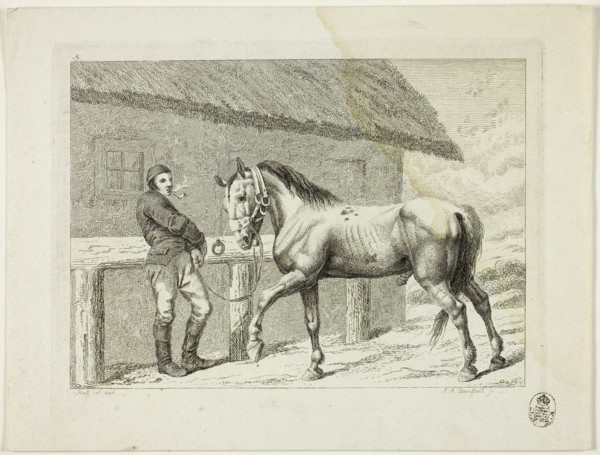 Riding School and Horses, 1806. Creator: Johann Adolph Darnstedt.