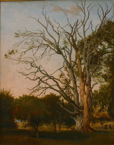 Woodland Scene with a Dead Tree, 1835. Creator: Johann Hermann Carmiencke.