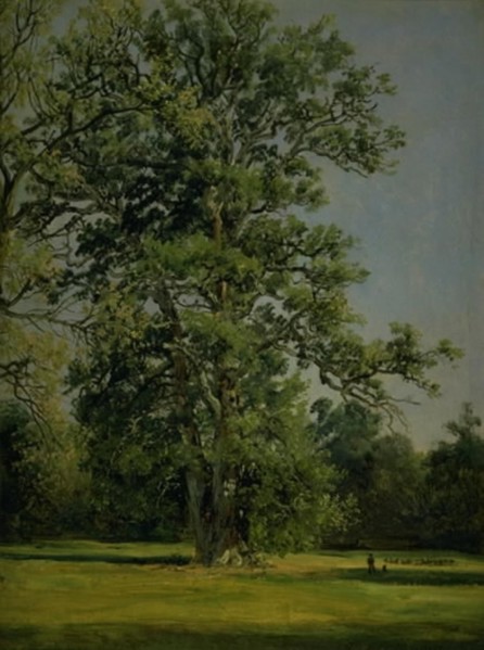 An Oak. View of the Garden at Wörlitz near Dessau, 1838. Creator: Johan Christian Dahl.