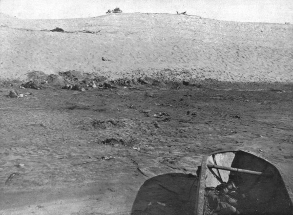 'Sur le Canal de Suez; Apres l'ataque de Toussoum: les cadavres turcs sur le berge..., 1915 (1924). Creator: Unknown.