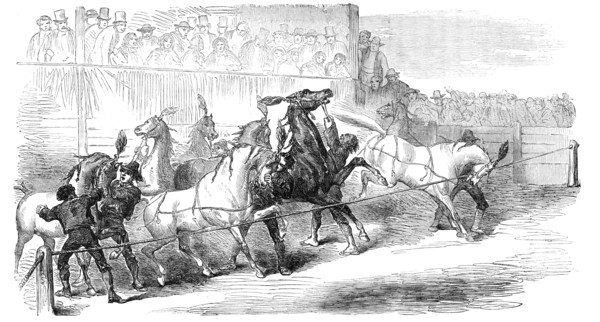 Carnival Races at Rome, 1856.  Creator: Unknown.