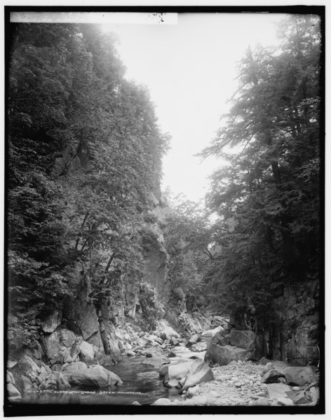 In Clarendon Gorge, Green Mountains, between 1900 and 1906. Creator: Unknown.