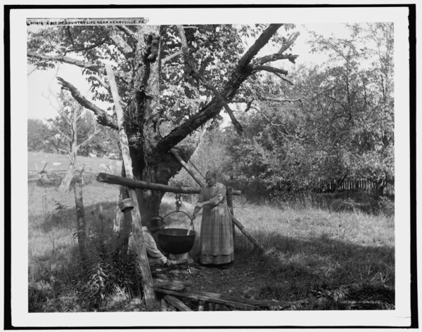 A Bit of country life near Henryville, Pa., c1900. Creator: Unknown.
