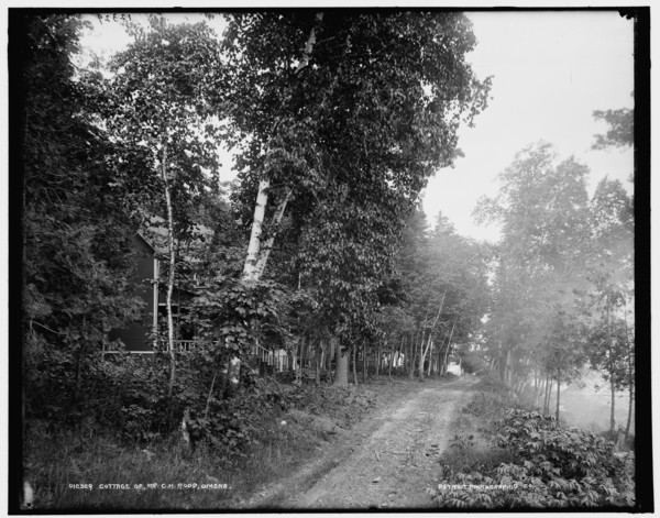 Cottage of Mr. C.H. Rood, Omena, between 1890 and 1901. Creator: Unknown.
