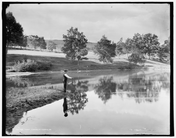 Trout fishing, Mt. Pocono, Pa., (1905?). Creator: Unknown.