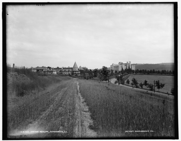 Insane asylum, Binghamton, N.Y., between 1890 and 1901. Creator: Unknown.