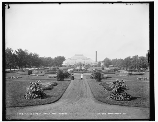 Flower beds in Lincoln Park, Chicago, 1900. Creator: Unknown.