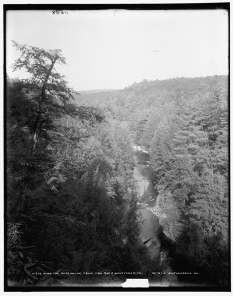 Down the Analomink from high rock, Henryville, Pa., between 1890 and 1901. Creator: Unknown.