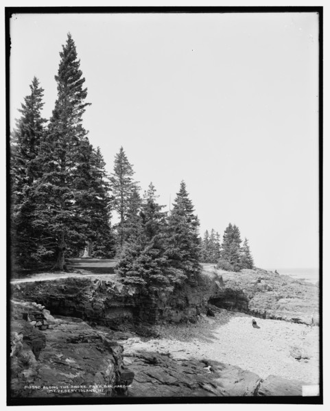 Along the shore path, Bar Harbor, Mt. i.e. Mount Desert Island, Me., c1900. Creator: Unknown.