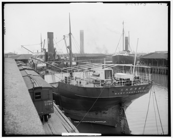 Steamship docks, Savannah, Ga., between 1900 and 1915. Creator: Unknown.