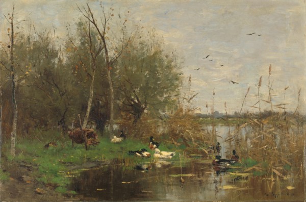 Ducks beside a duck shelter on a ditch, 1884. Creator: George Poggenbeek.