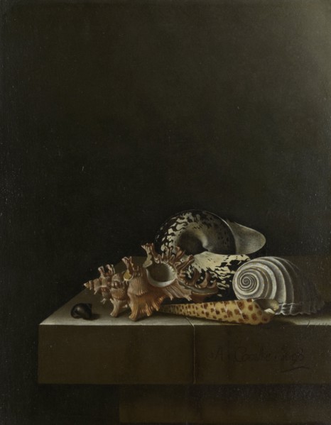 Shells on a Stone Plinth, 1698. Creator: Adriaen Coorte.