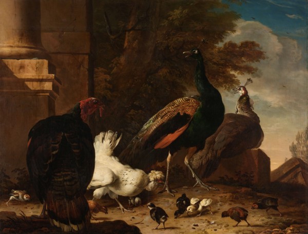 A Hen with Peacocks and a Turkey, c.1680. Creator: Melchior d'Hondecoeter.