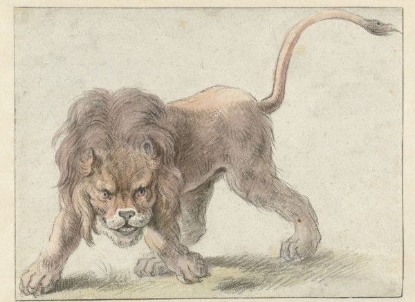 Lion, c.1626. Creator: Cornelis Saftleven.