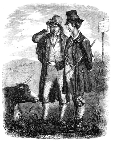 Sketches of Irish Character - "The Irish Cow Doctor" - drawn by E. Fitzpatrick, 1857. Creator: Unknown.