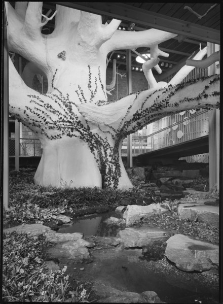 Festival of Britain, South Bank Exhibition, The Natural Scene Pavilion, South Bank, London, 1951. Creator: Margaret F Harker.