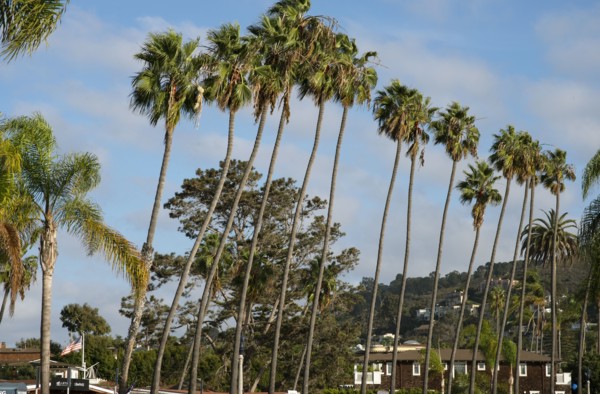 La Jolla, California, USA, 2022. Creator: Ethel Davies.