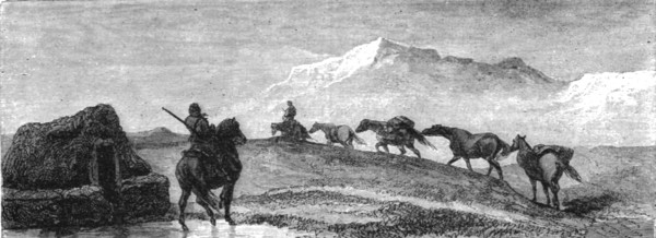 'A team of Ponies; An Icelanders Notes on Iceland', 1875. Creator: Unknown.