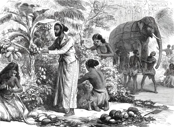 Preparing the decorations at Colombo, Ceylon, for the Royal Visit, from a sketch by one..., 1876. Creator: Unknown.