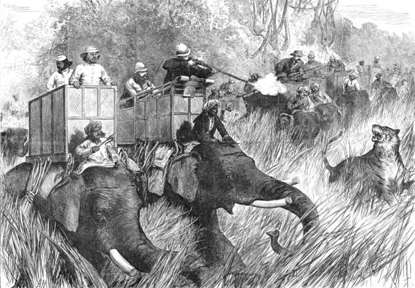 The Prince of Wales Tiger-Shooting with Sir Jung Bahadoor: the Critical Moment...1876. Creator: Unknown.