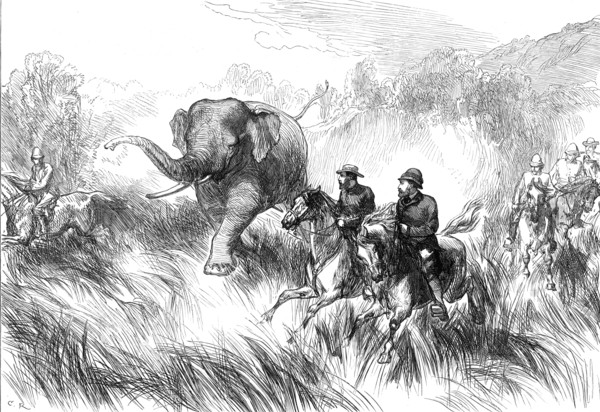 The Prince of Wales in the Terai: Mr. Rose chased by a Wild Elephant...1876. Creator: C.R..