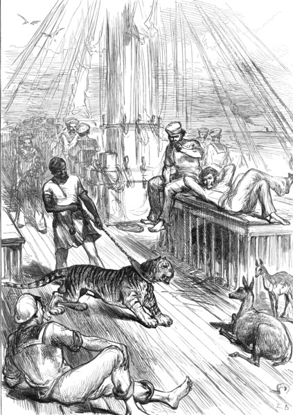 Return of the Prince of Wales from India: Life on Board the Serapis - Tiger and Cheetals...1876. Creator: L.B..