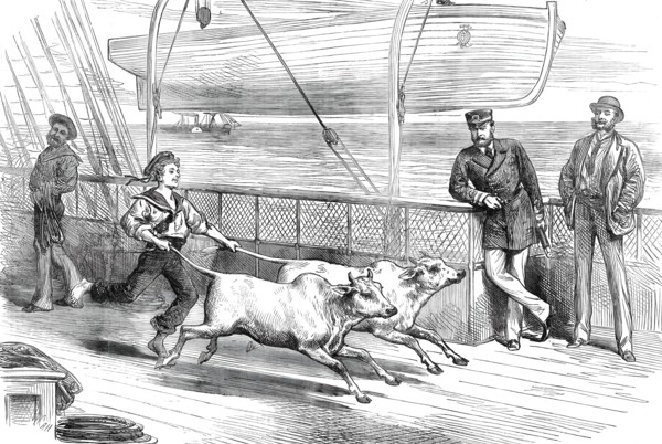 The Prince's Voyage Home from India: life on board the Serapis: exercising the "Gainees"...1876. Creator: Unknown.