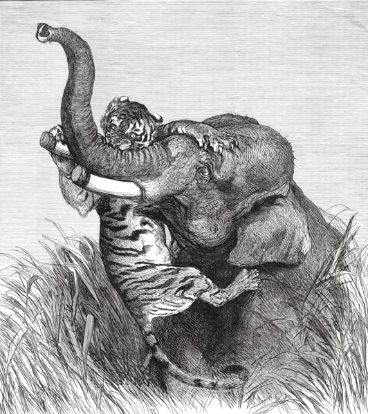 An Indian Hunting Trophy, 1876. Creator: Unknown.