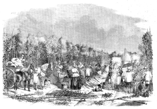 Hop-picking, 1858. Creator: Unknown.