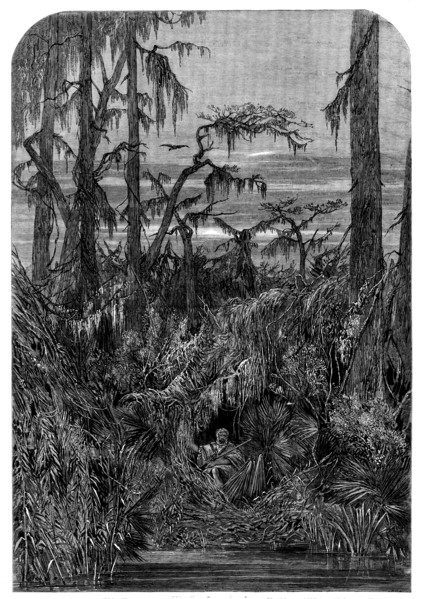 Transatlantic Sketches - a Swamp in Louisiana - from a drawing by Mrs. Bodichon, 1858. Creator: Unknown.