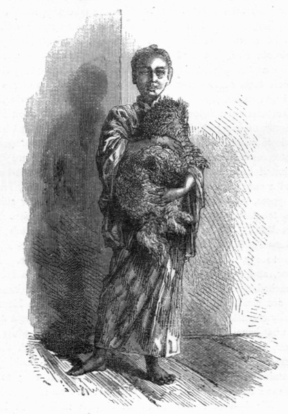 'To, M. Humbert's valet-de-chambre; A European Sojourn in Japan', 1875. Creator: Unknown.