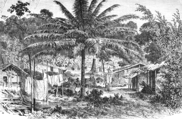 ''A village on the Gaboon; The Gaboon.', 1875. Creator: Unknown.