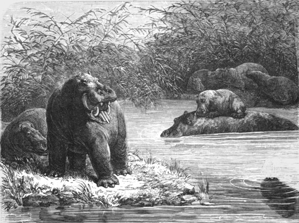 ''A quiet nook on the Chambeze river; The regions of the Cazembe', 1875. Creator: Unknown.